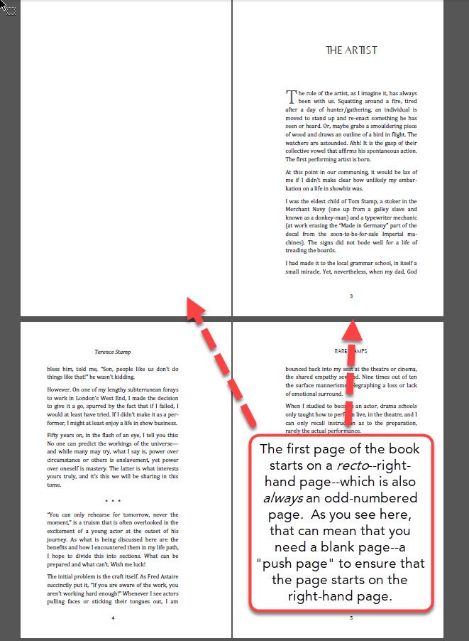 The First Chapter page of Rare Stamps.