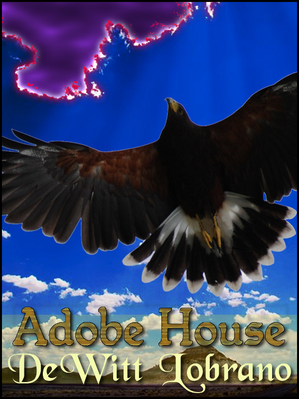 Cover of The Adobe House