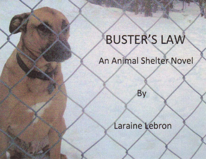 Cover of Buster's Law