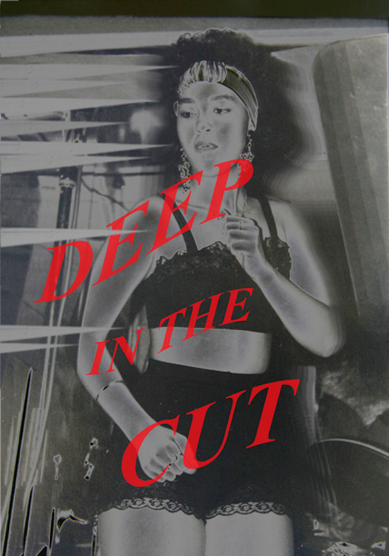 Cover of Deep in the Cut