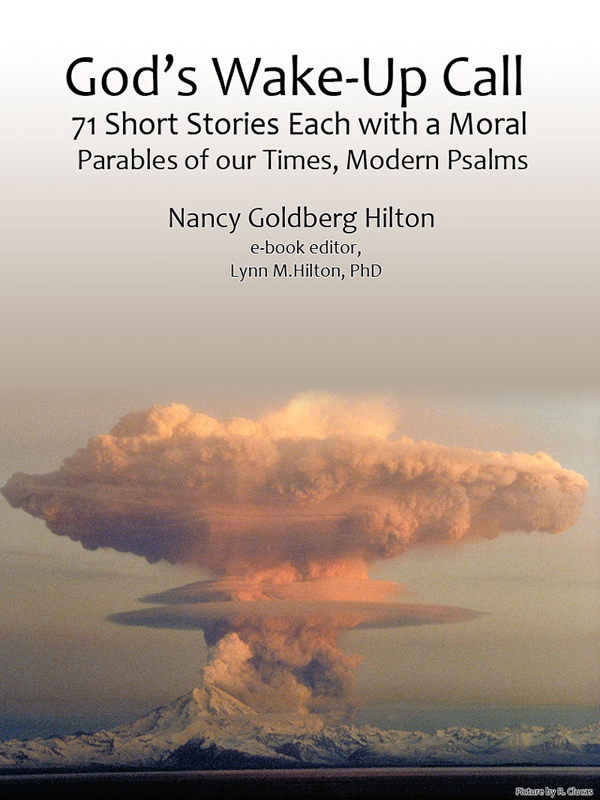 Cover of God's Wake-Up Call