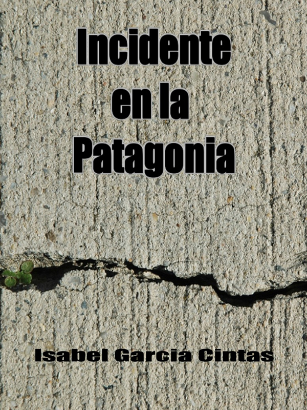Cover of Incidente en la Patagonia