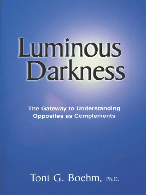 Cover of Luminous Darkness