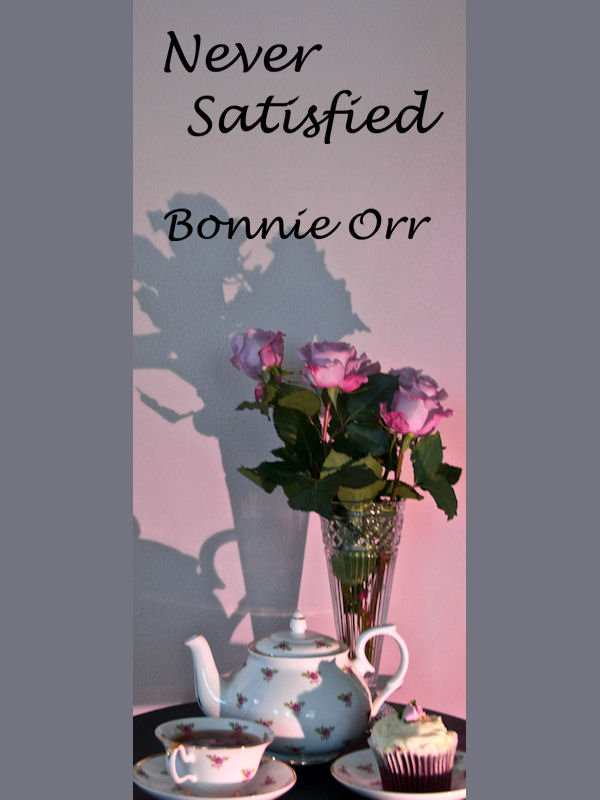 Cover of Never Satisfied