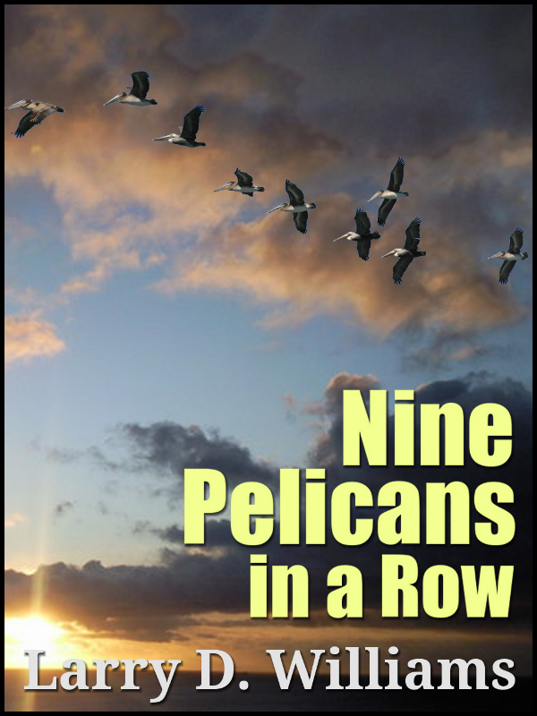 Cover of Nine Pelicans in a Row