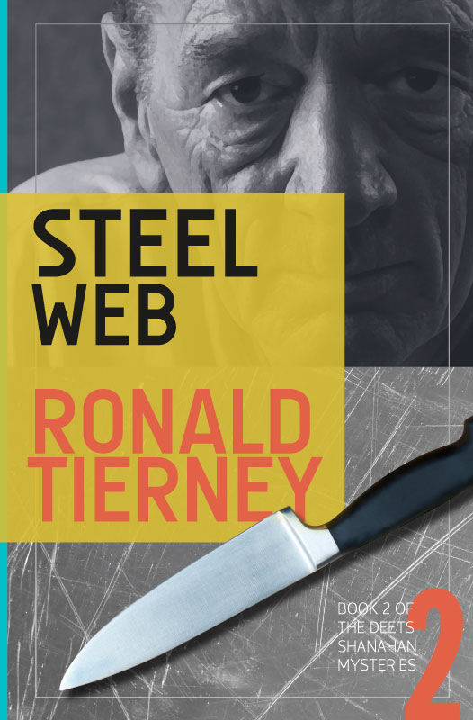 Cover of Steel Web